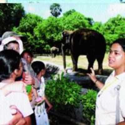 New school in town: Byculla zoo!