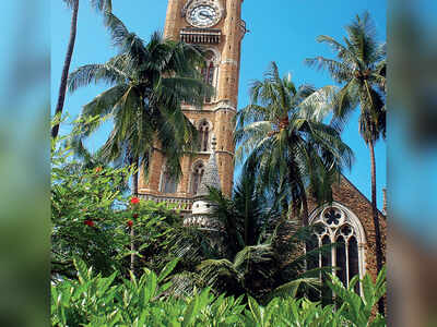 LLB admission deadline extended for Mumbai University students