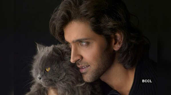 Hrithik Roshan's love for cats