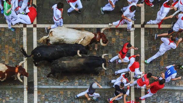 5 countries where animals play central roles in cultural traditions