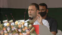 Assam polls: Rahul Gandhi promises Rs 365 daily to tea workers 