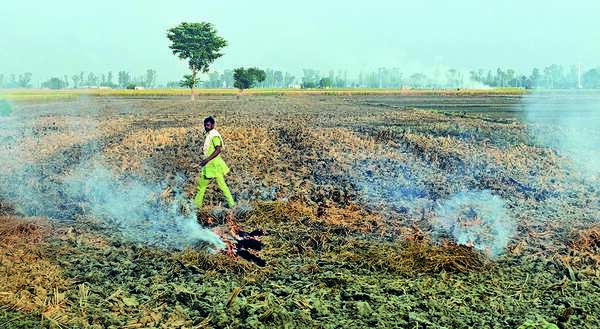 Air quality poor to very poor in 13 Haryana cities, towns