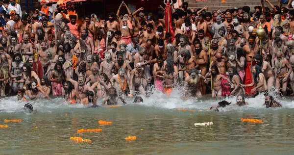 ‘Virtual wall’ planned to prevent wildlife intrusions during Kumbh