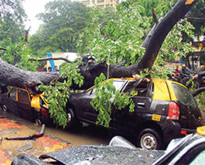 Mumbai hits rain brakes