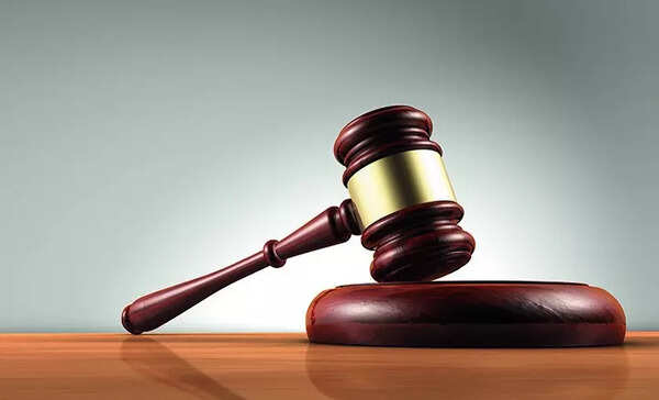 Delhi HC directs DJB to fix Shaheen Bagh open sewer, restore basic sanitation