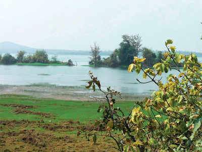 Pench Dam, Irai Dam, Khindsi Dam to be connected to Nagpur via amphibian planes