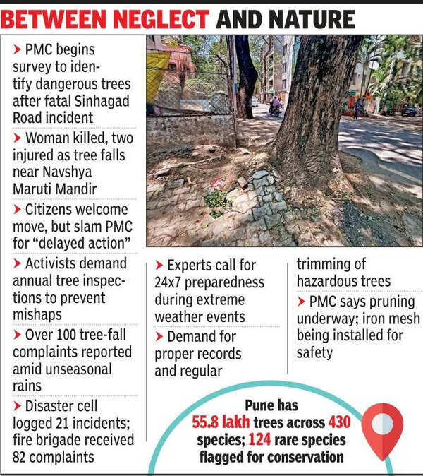 PMC to hold survey of dangerous trees, activists call it delayed action