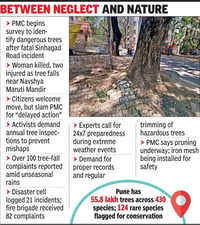 PMC to hold survey of dangerous trees, activists call it delayed action