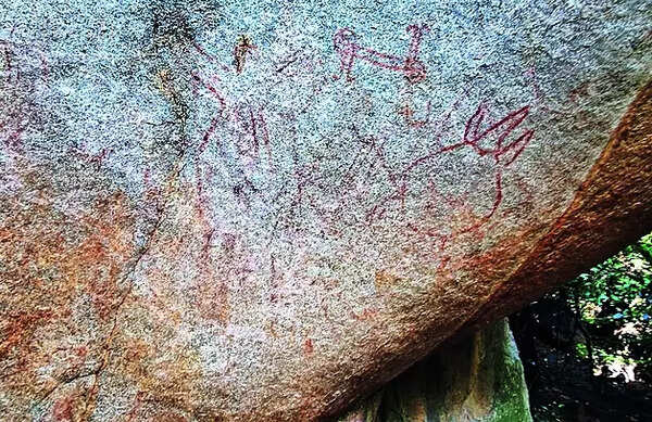 Rock art site dating back to middle stone age period found in Hyderabad