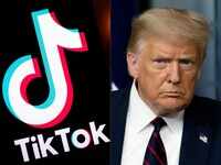 articleShow 78074792