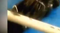 Shocking Mumbai hospital video surfaces, patients kept with dead bodies 