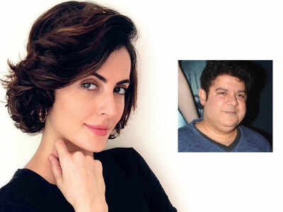 Mandana Karimi: Sajid Khan was such a creep