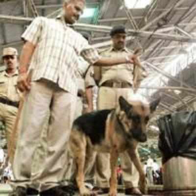 Sniff, you're on camera: RPF to put dog squad under watch