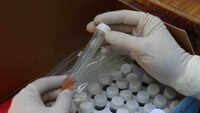 TOI Daily: Rapid antigen tests now make up nearly half of daily checks 