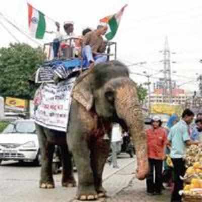 Anna supporters upset animal lovers