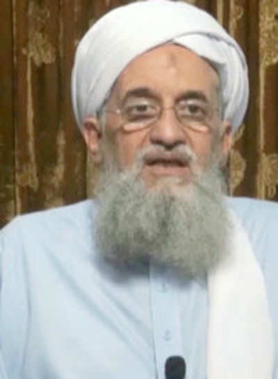 Al-Qaida wants to portray Modi as enemy of Islam: US analyst