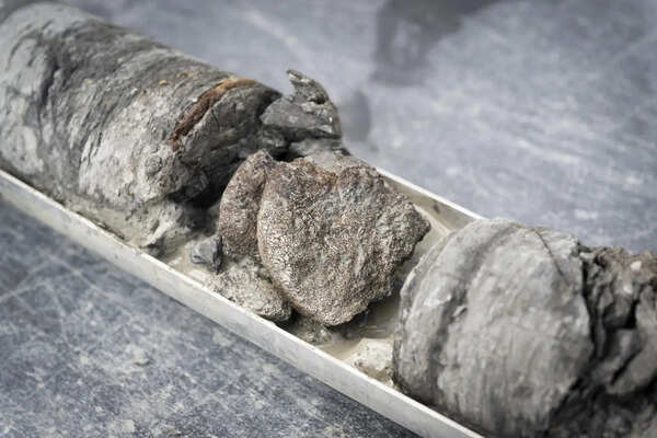 In 2024, drilling beneath a museum parking lot uncovered a rare dinosaur bone