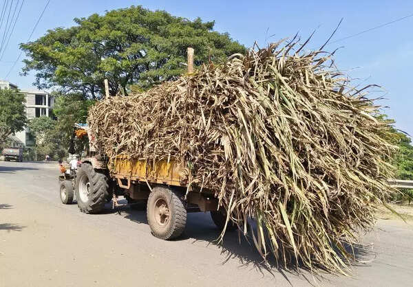 Centre increases sugar export quota by 5lakh tonne to stabilize domestic prices