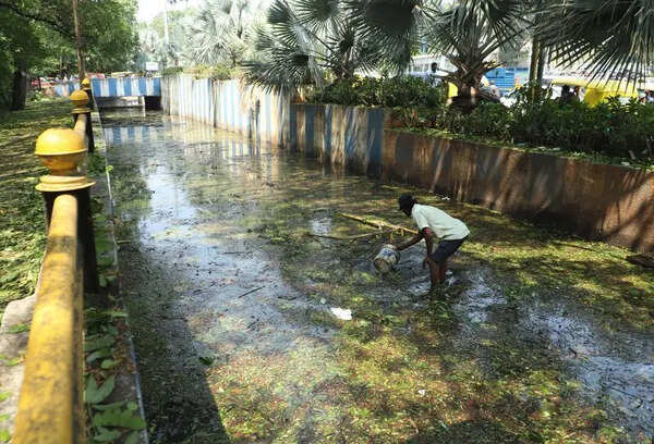 Three years after fatal drowning, KR Circle underpass floods again in Bengaluru