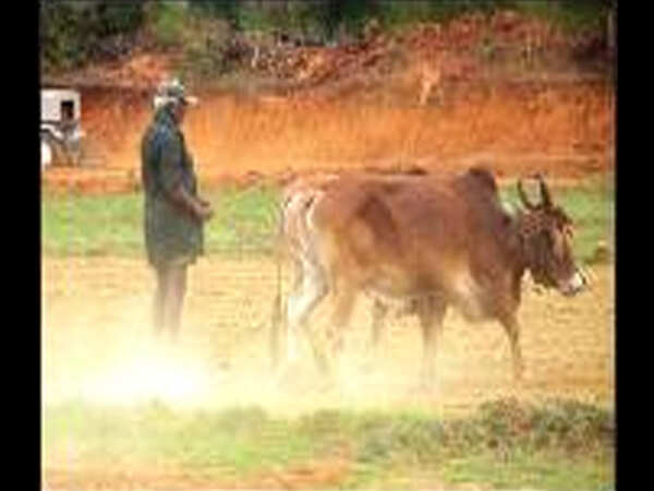 Bicholim ryots aggrieved over lack of irrigation facilities