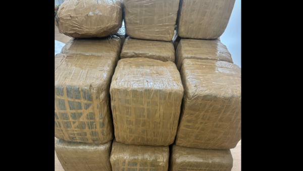 Gangster's aide among six held for smuggling 200kg ganja from Odisha to Tamil Nadu