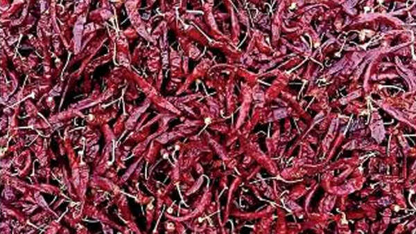 Kerala: Spice farmers get online help to fight plant disease