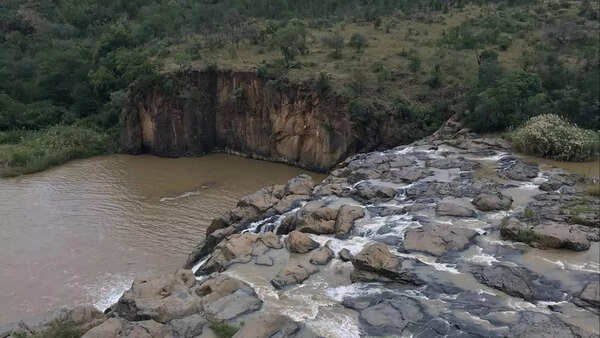 Crocodile attack or witchcraft ritual? No trace of British tourist who vanished in South Africa