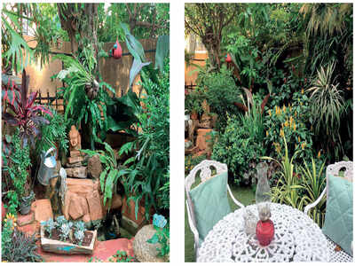 The Towns Mirror Special: Leela’s garden: A place where nature co-exists with memories