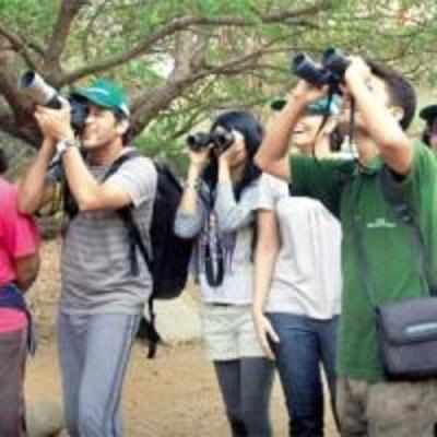 Country's bird lovers to gather to save city's biodiversity