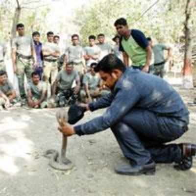 Naxals on mind, Force One grapples with snakes