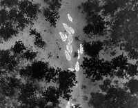 Chhattisgarh deploys thermal drone to track elephants, curb human-elephant conflict