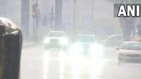 articleShow 99119072
