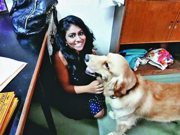 Abandoned pets find new homes in the city
