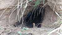 J&K: BSF detects tunnel along India-Pakistan border 