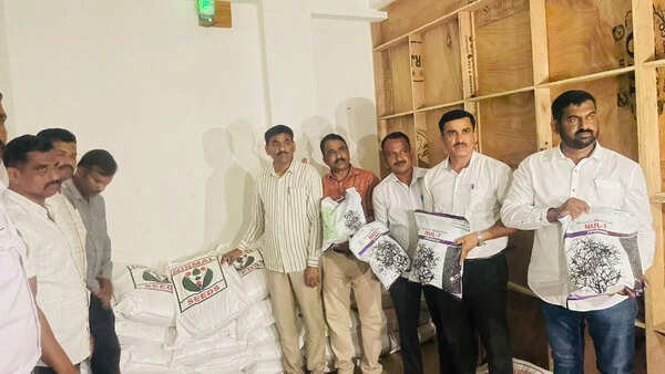 816 bags of untested urad seeds worth Rs16L seized in Solapur