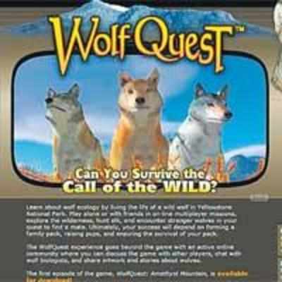 wolfquest.org