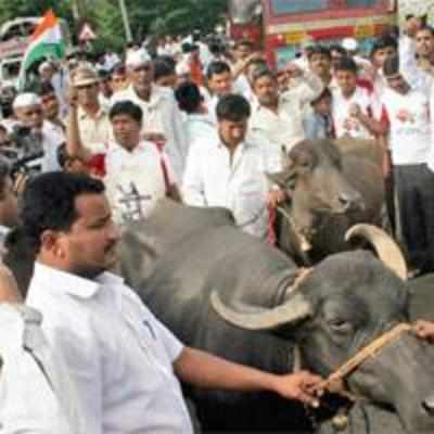 Protest in Anna's village