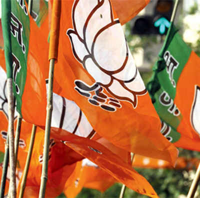BJP injects politics into state medical council elections