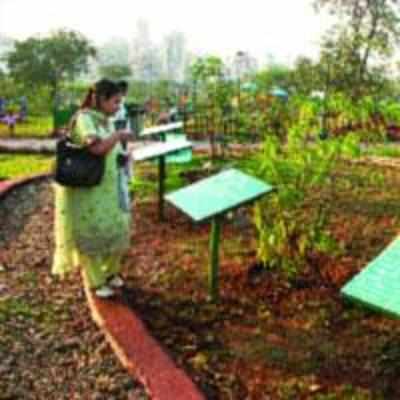 Standing committee shoots down proposal to levy entry fee at the Rock Garden in Nerul
