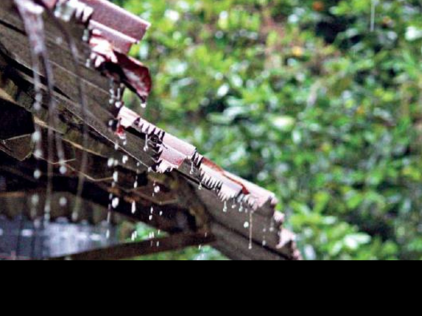 Pitfall: Why residents are wary of new rules on tapping rainwater in Delhi