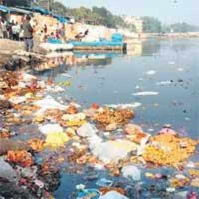 '˜Can't let foreigners see this view of Yamuna!'