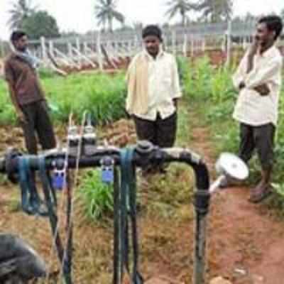 Doddaballapur farmers keep city glowing