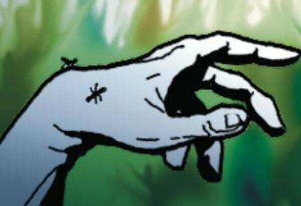 Woman missing from Thrissur found murdered in Coimbatore
