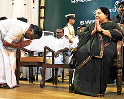 The Amma of all freebies