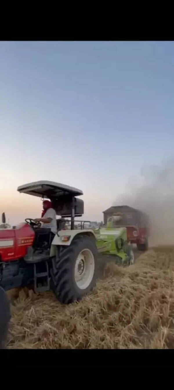 How toori, once a profit-making wheat straw byproduct, lost its sheen in Punjab