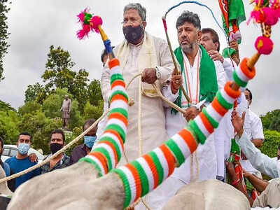 Congress leaders ride bullock carts to protest fuel price hike