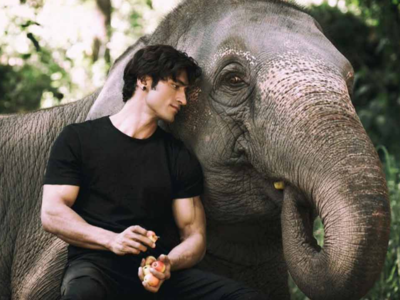 Junglee box office collection: Vidyut Jammwal's film goes strong at the box office on first weekend