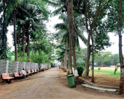 BMC’s neglect sees gardens go to seed