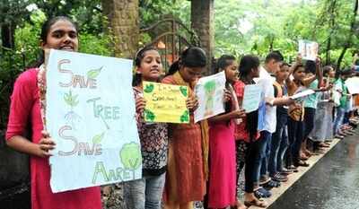 Bombay HC dismisses PILs challenging BMC’s decision to cut 2646 trees in Aarey