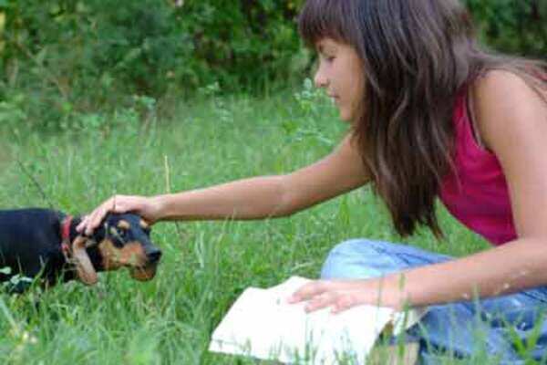 Campus pets more than a passtime for students